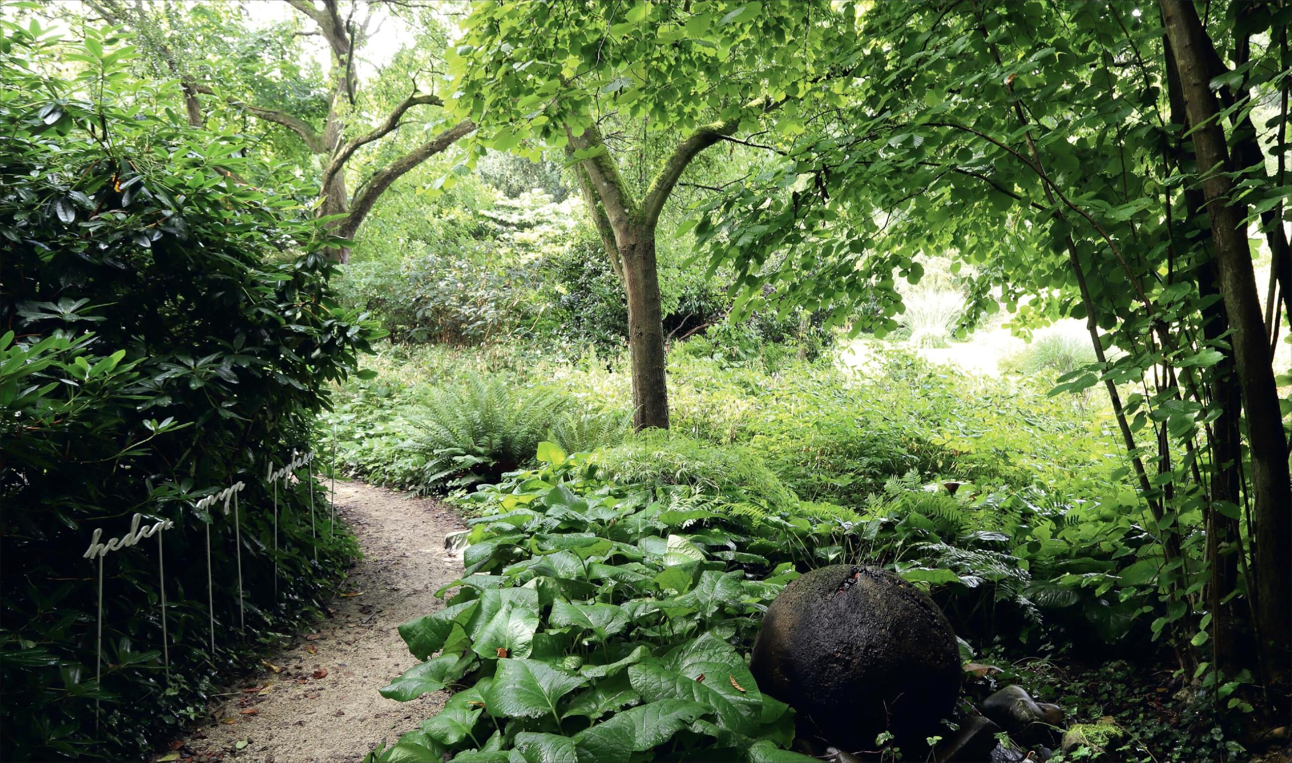 The Gardens of Mien Ruys: Strong Design, Lush Planting, and the Origins of the Modernist Garden