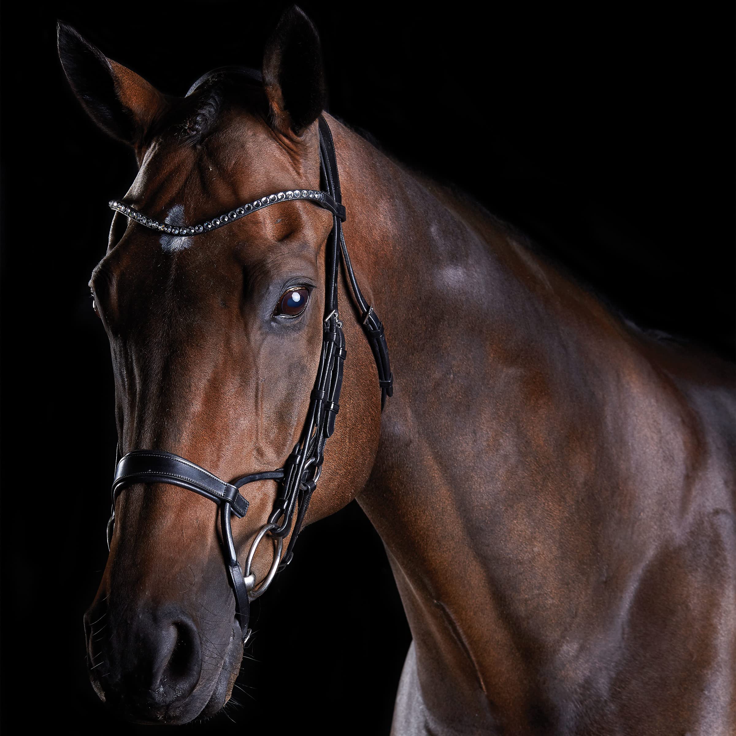 Collegiate ComFiTec Crystal Bridle, Black, Warmblood — image 1