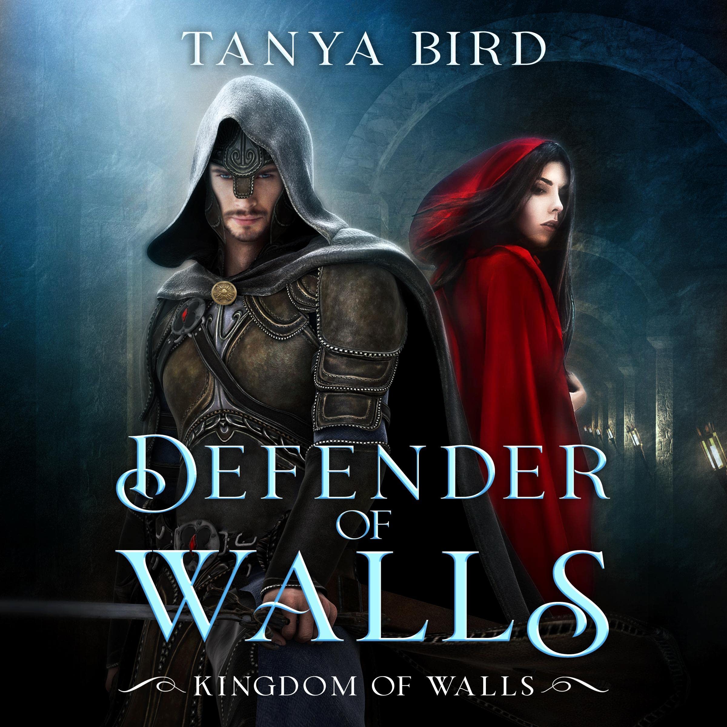 Cover art for Defender of Walls