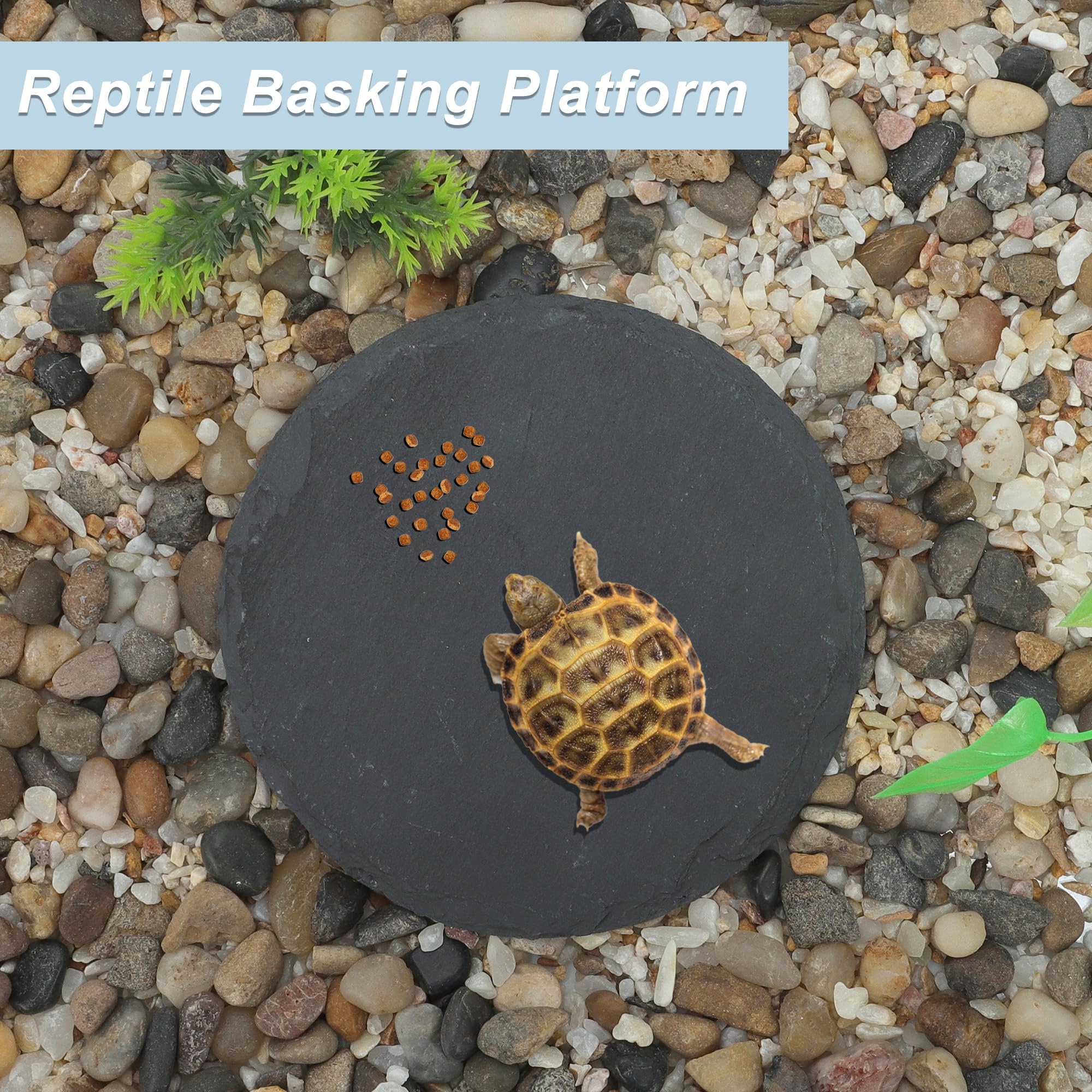 CAPASTEC Reptile Basking Platform, Round Tortoise Habitat Slate, Turtle Feeding Slate, Habitat Decor Accessories for Crested Gecko Lizard, Gray Black