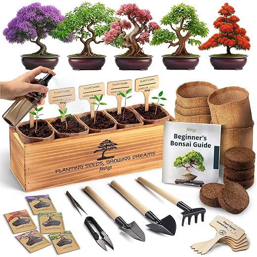DIY Bonsai Tree Kit for Beginners – 5X Unique Japanese Bonzai Trees | Complete Indoor Bonsai Starter Kit for Growing Bonsai Plants with Tools & Planters – DIY Gardening Gifts for Women & Men