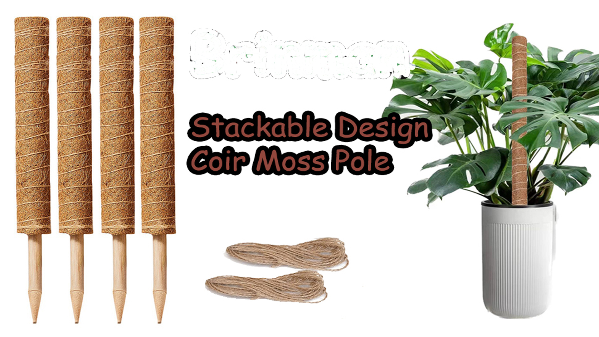 Amazon.com : Moss Pole, 4Pack 21 Inch Plant Support Stakes