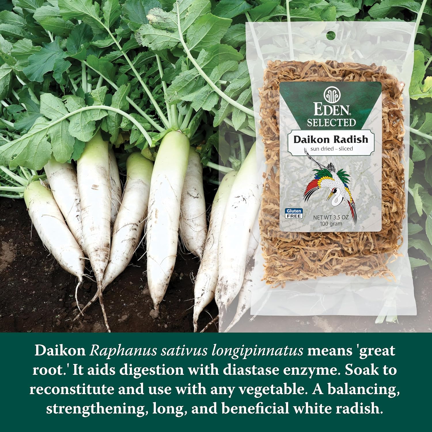 Eden Daikon Radish, Sun Dried and Finely Sliced, Traditionally Made in Japan, 3.5 oz (Pack of 2)