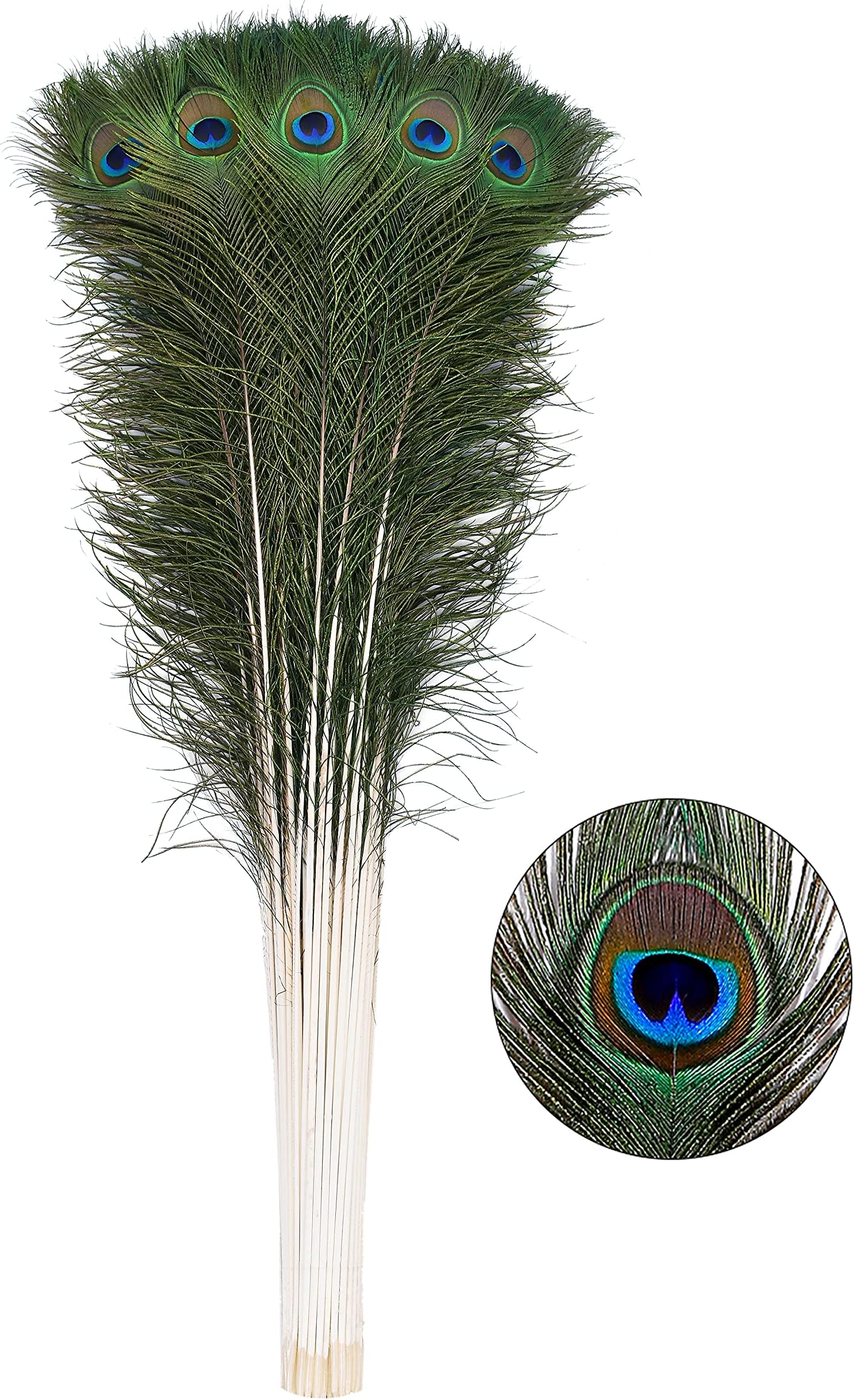 Ballinger 20pcs Natural Peacock Feathers Long Pole Bulk 40-45 inch for DIY Craft, Wedding Holiday Decorationn and Floral Arrangement