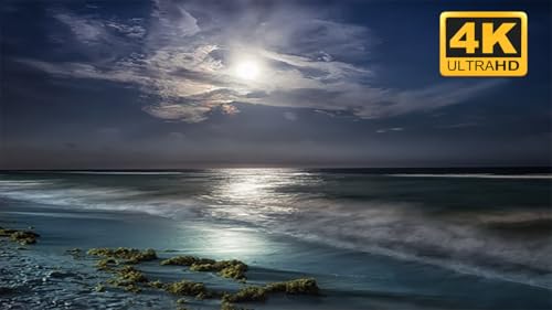 Tropical Beach at Night screensaver 4K Relaxing Waves Sounds for Sleep No Ads