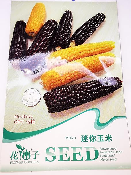 Amazon 野菜種 黒色 濃黄色mix 変わり種 野菜
