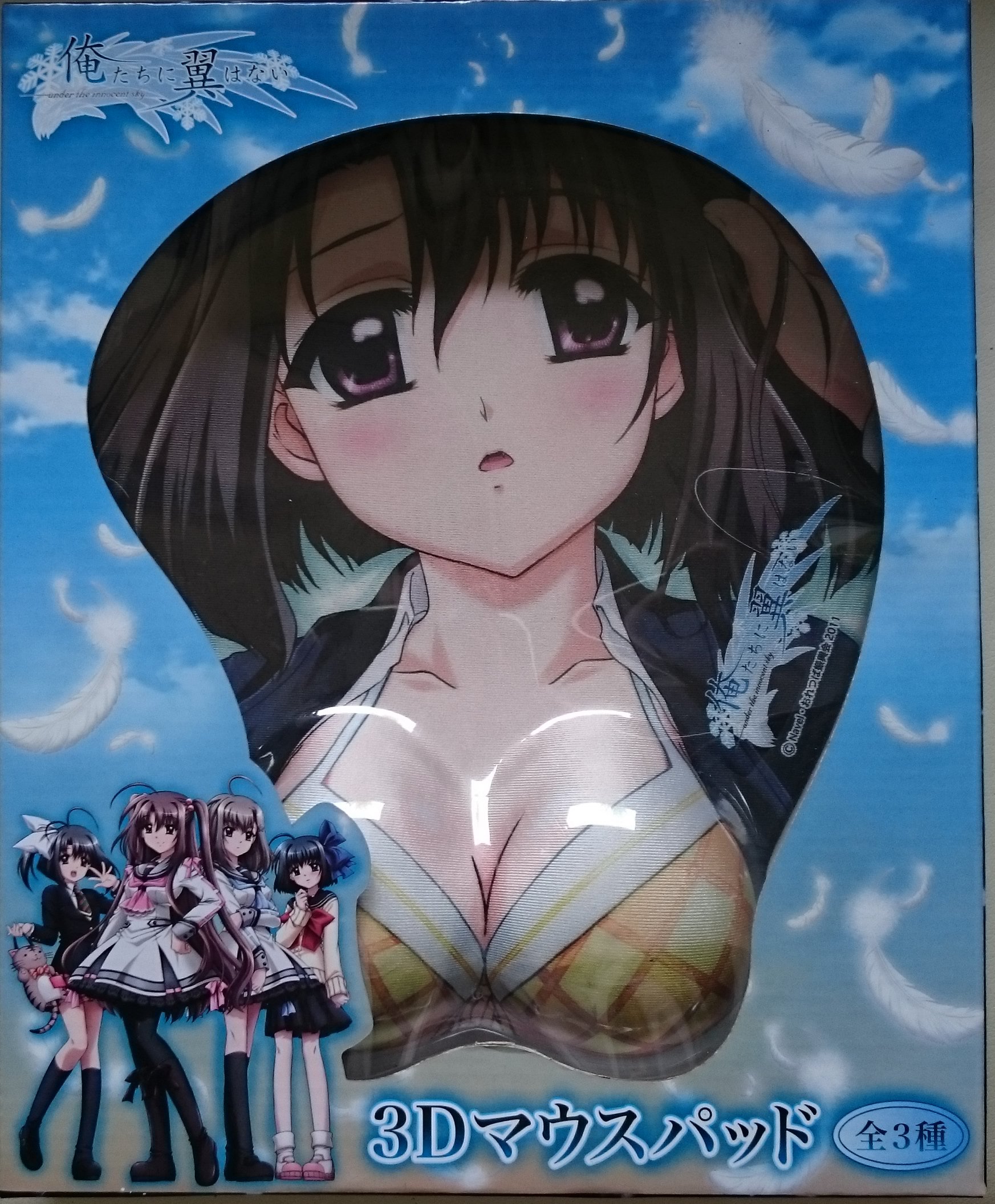 【新品・未開封】俺たちに翼はない 3Dマウスパッド 全3種フルセット2 Amazon.co.jp: 俺たちに翼はない 3Dマウスパッド 鳳鳴