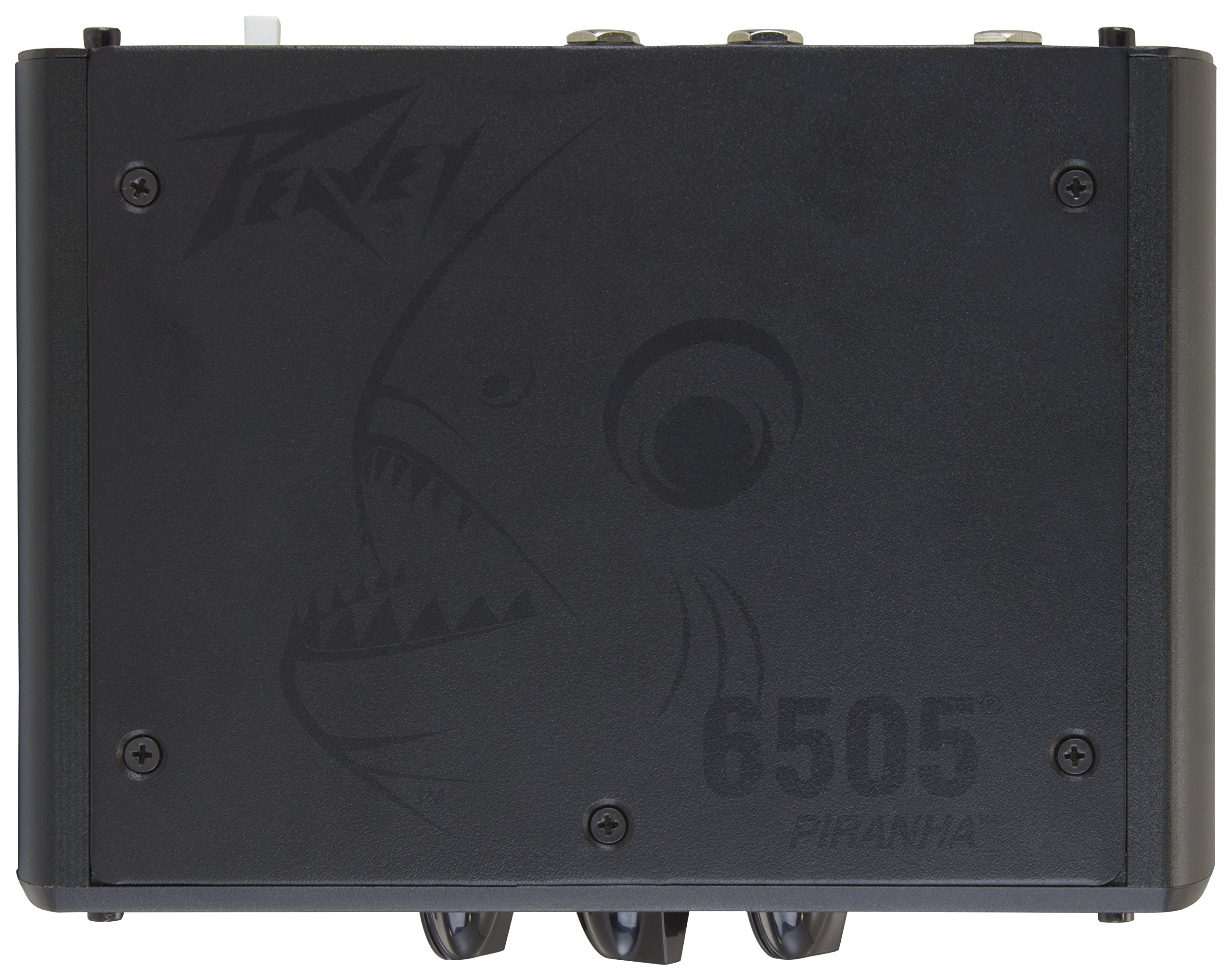 Amazon.co.jp: PEAVEY 6505 Piranha 20W ギターアンプ ヘッド【国内 