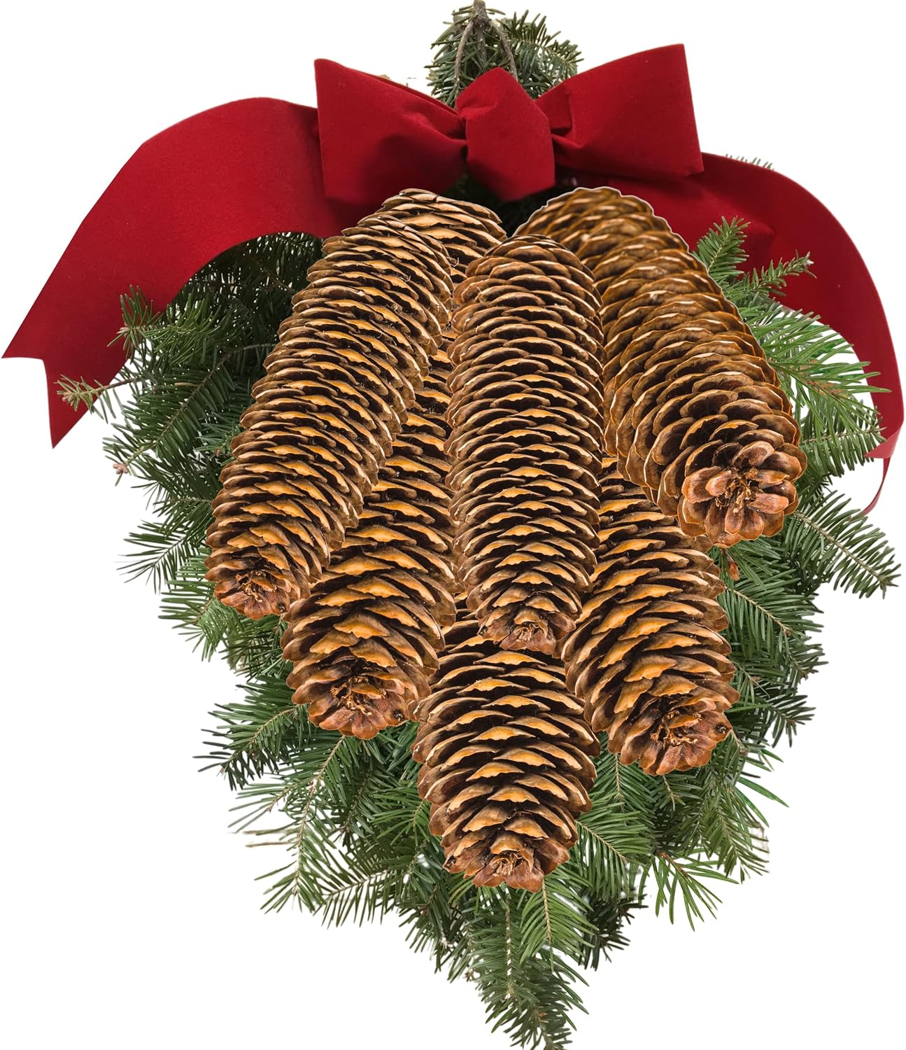 BANBERRY DESIGNS Spruce Pine Cones Set of 48 - Natural Pinecones for Christmas Decor, Crafting, Vase Filler, Bowl Display, Wreath Supplies, Holiday Table Decor - 3.5 to 4.5 Inches Long