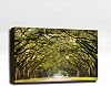 Canyon Arch - Curated Art 3'x2'x2 Acoustic Panel : Includes all Mounting Hardware.