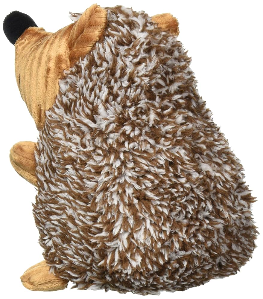 愛犬ラブプロフ必見！！ はりねずみ 小動物 飼育ケース Amazon | 120L 爬虫類ケージ グラステラリウム 透明 W60×D45