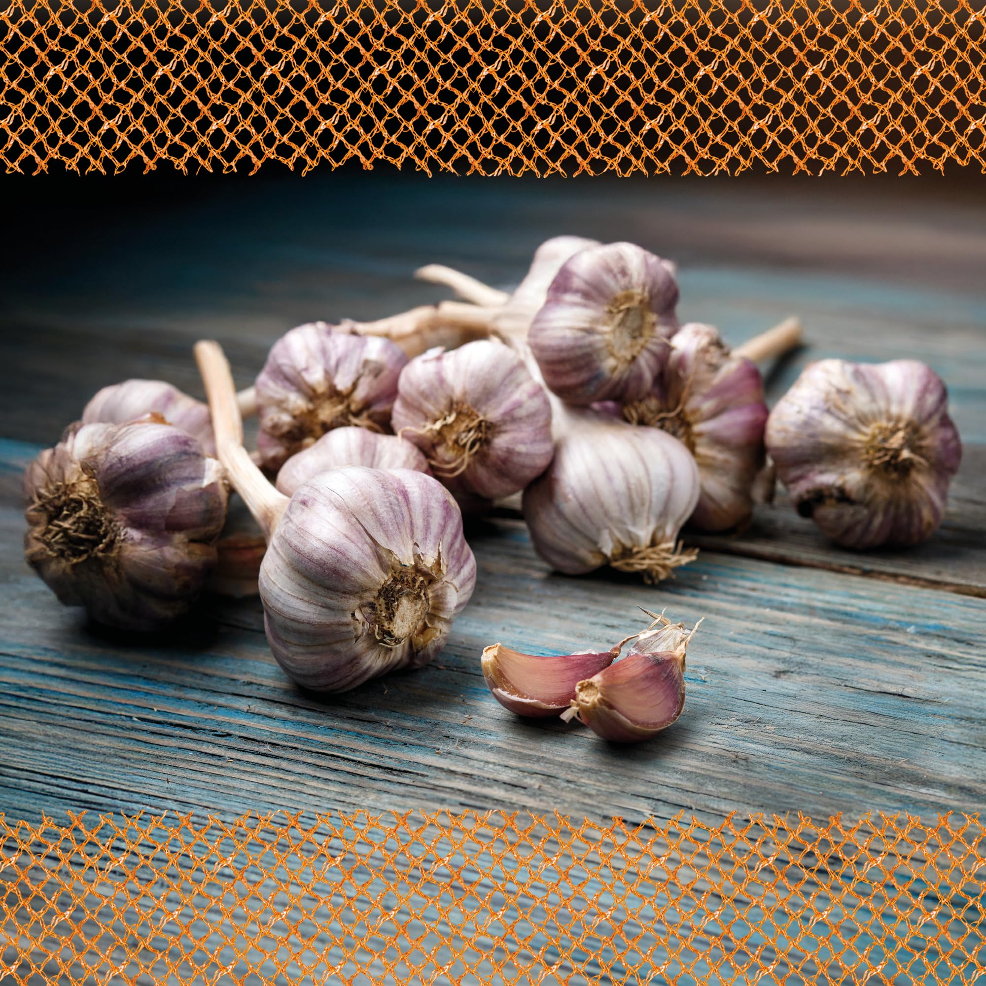 FLORTUS – Winterpflanzknoblauch Ljubascha 5 kg zertifiziertes Pflanzgut, keine Samen – Knollengröße 40-50 mm – winterhart, intensiv-scharfer Knoblauch aus Ukraine