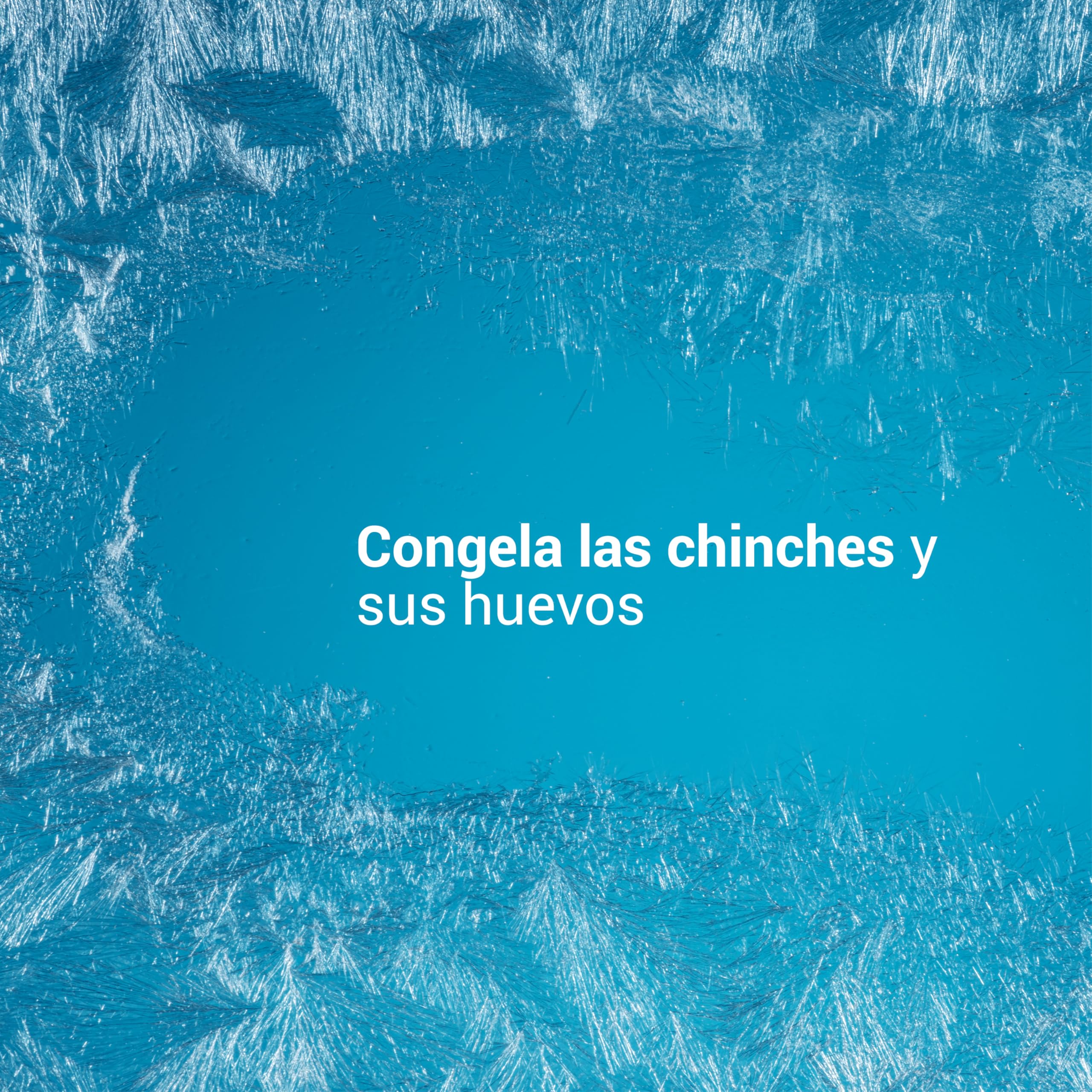 FREEZE CHINCHES DE CAMA – TRATAMIENTO NATURAL RÁPIDO – Acción FREEZE contra chinches (huevos, larvas y adultos) sin biocidas – Acción INMEDIATA y EFICAZ – Swiss Lab