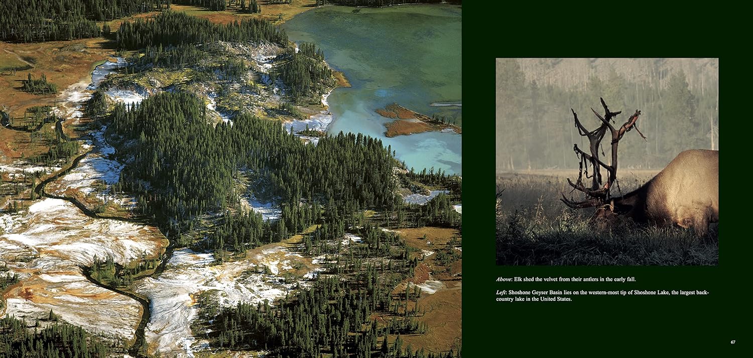 Wild Yellowstone: Land of Geysers and Grizzlies