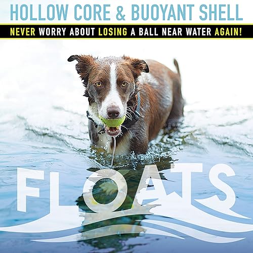 Miniatura 3 de Franklin Pet Supply - Juego de pelotas de tenis para chirridos  Juguete para perro chirria cuando se aprieta  Multipaquetes  para perros pequeños