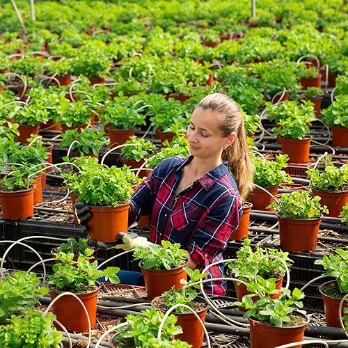 Vista 28 de Augshy 120 macetas de plástico para vivero, macetas de inicio de semillas para interiores y exteriores (4,5,6 pulgadas)