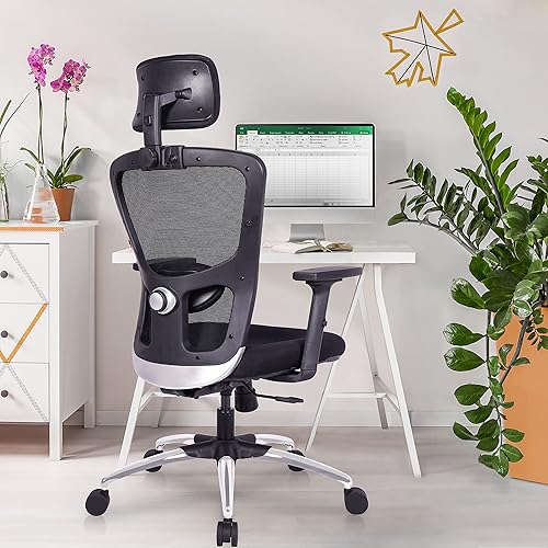 ergonomic chair reviews