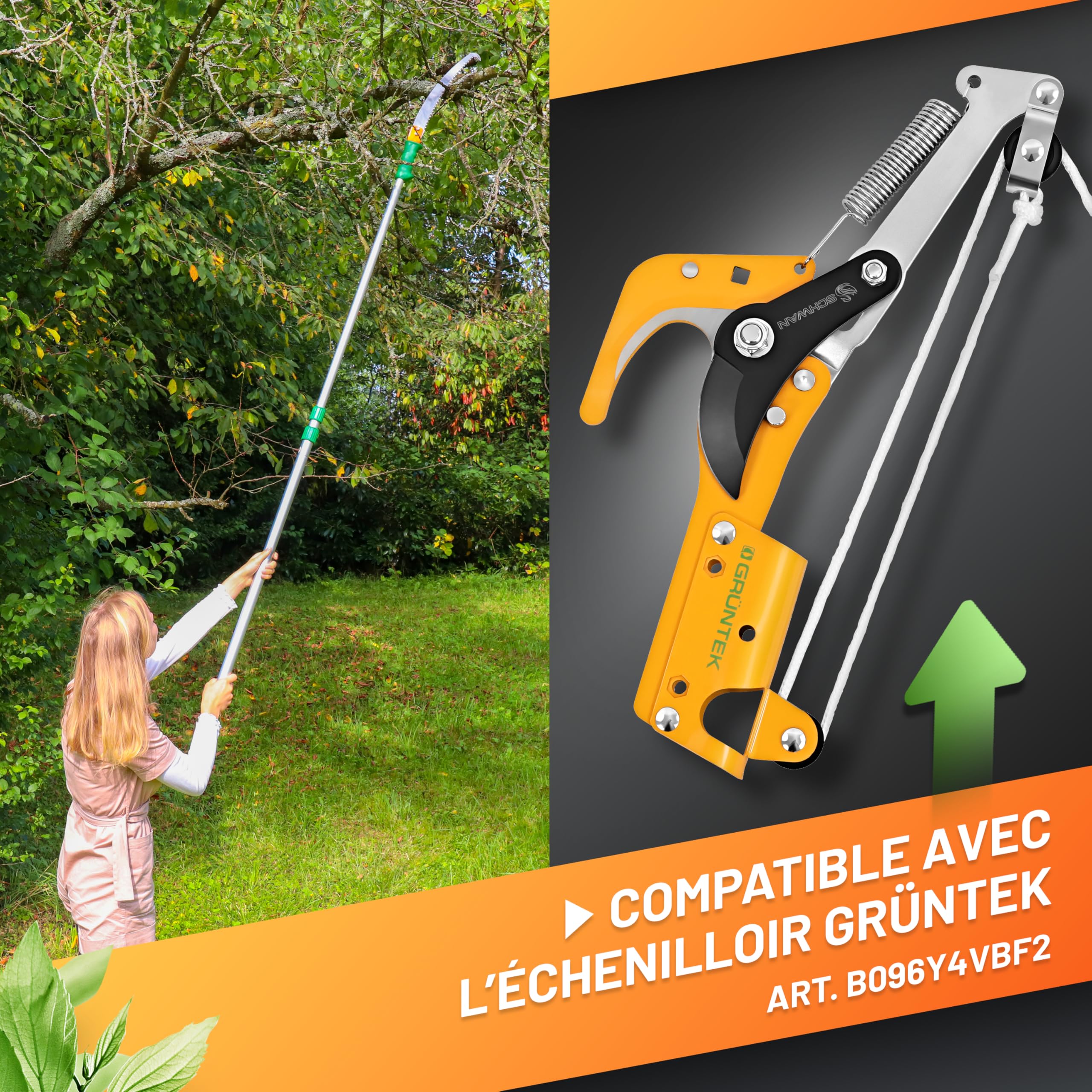 GRÜNTEK Scie Élagage Télescopique sur Perche à Elaguer Coupe Branches 100-240 cm compatible avec Echenilloir GRÜNTEK (art. B096Y5T5VT)