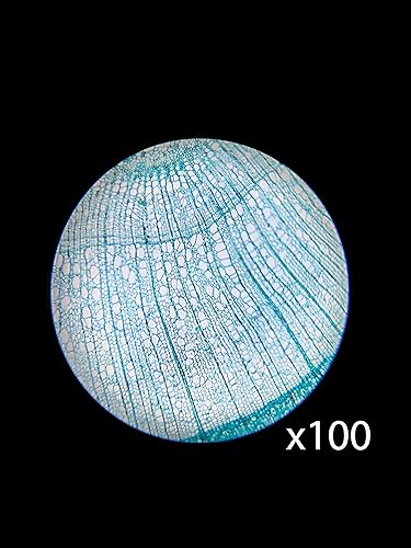 Miniatura 6 de BARSKA Microscopio monocular del compuesto 40x-640x del estudiante