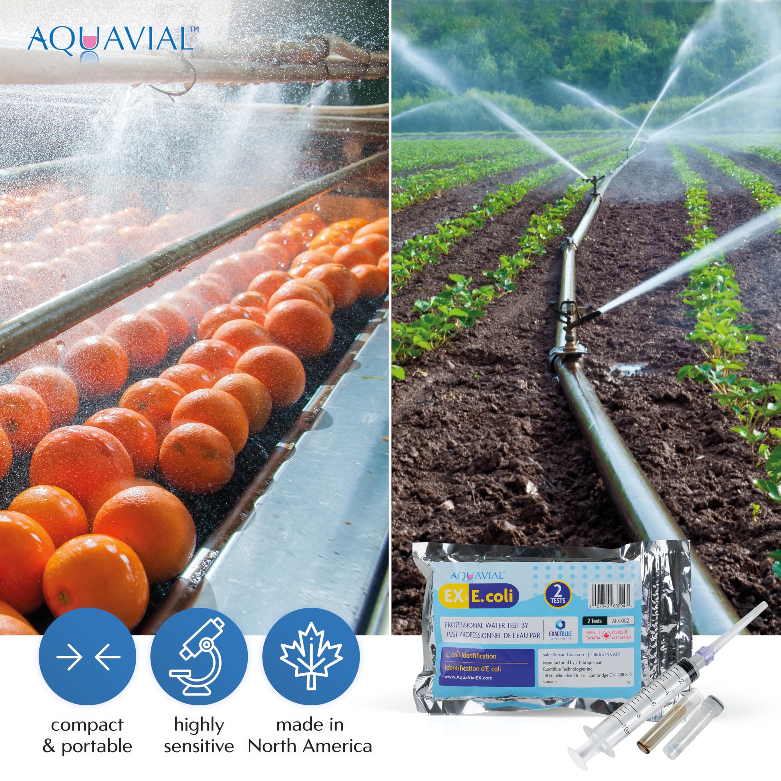 Kit Test Acqua Test Dell'acqua Batteri E Coli Aqua Potabile Del Rubinetto Calda Del Tubo Di Prova Stagno Lago Fiume Piscina Analisi Professionale