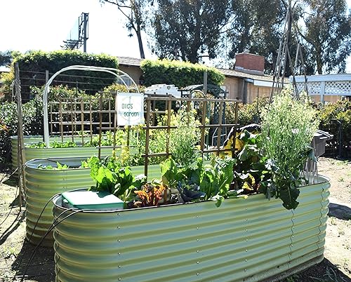 Miniatura 5 de Olle Cama de jardín elevada de metal, fácil de instalar y rápida, 32 pulgadas de alto, 12 en 1 para cultivar flores, hierbas, jardinería