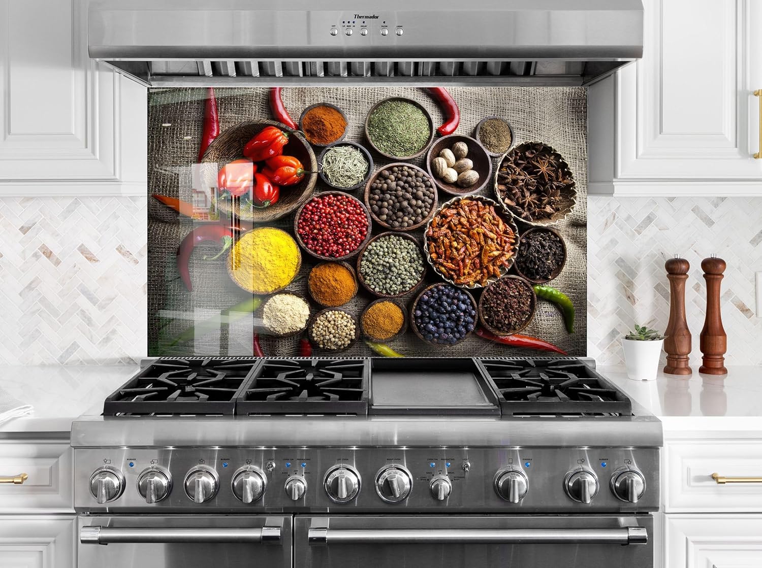 Myphotostation.com 12x12''Tempered Glass Herbs Backsplash Design Cooker Wall Backsplash Panel Glass Splashback for Kitchen Panel Design Spices Splashback Herbs