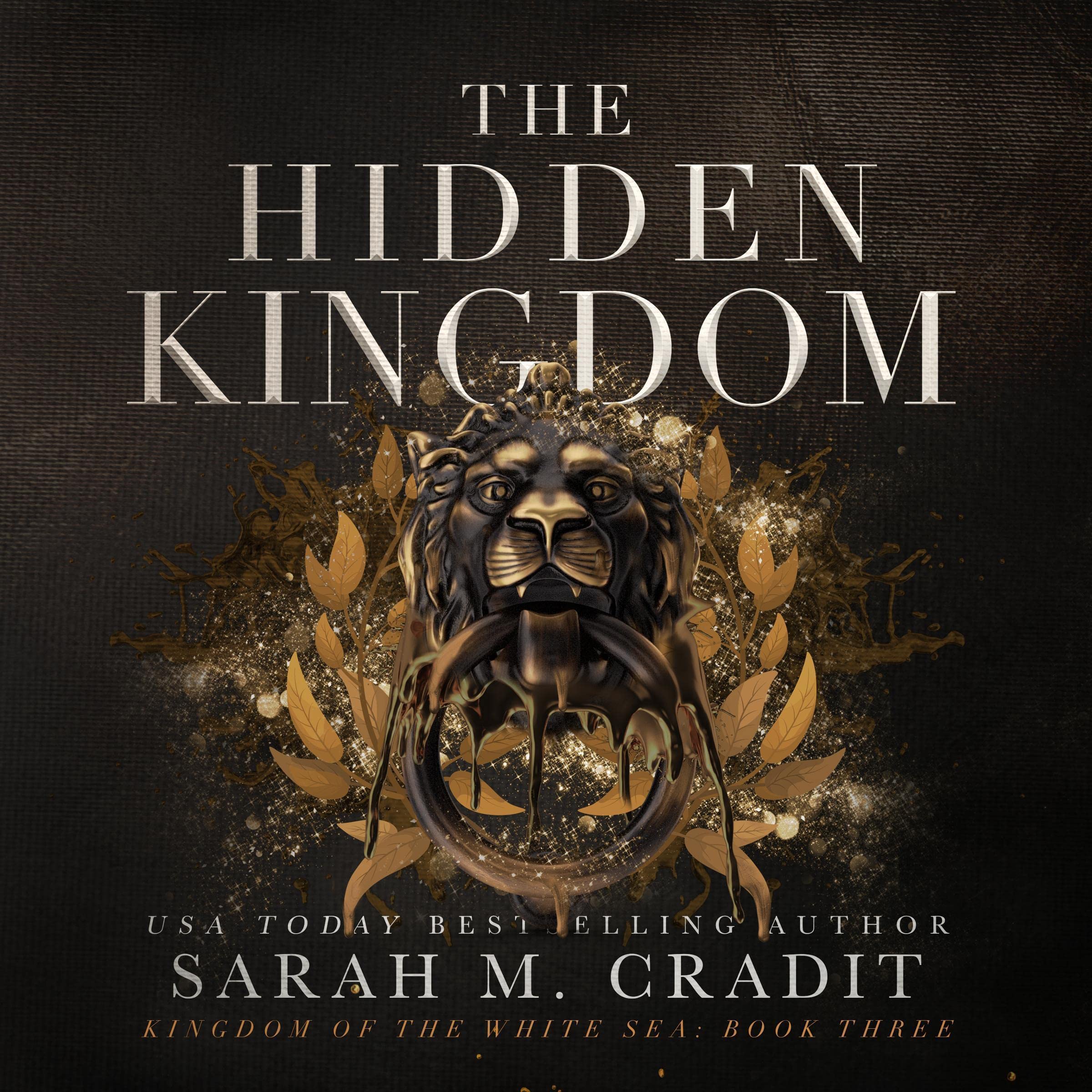 Cover art for The Hidden Kingdom