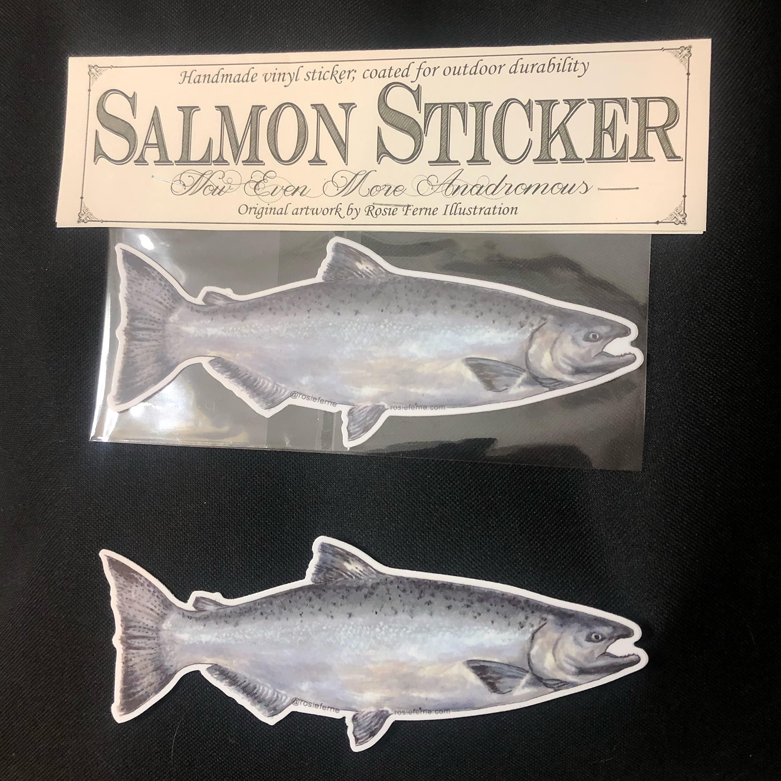 Vinyl salmon sticker, choose chinook (king), coho, sockeye, pink, chum, or steelhead trout sticker, indoor or outdoor vinyl stickers