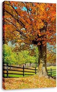 Fall Foliage Vertical Wall Art. Sugar Maple Tree Autumn Canvas Decor.