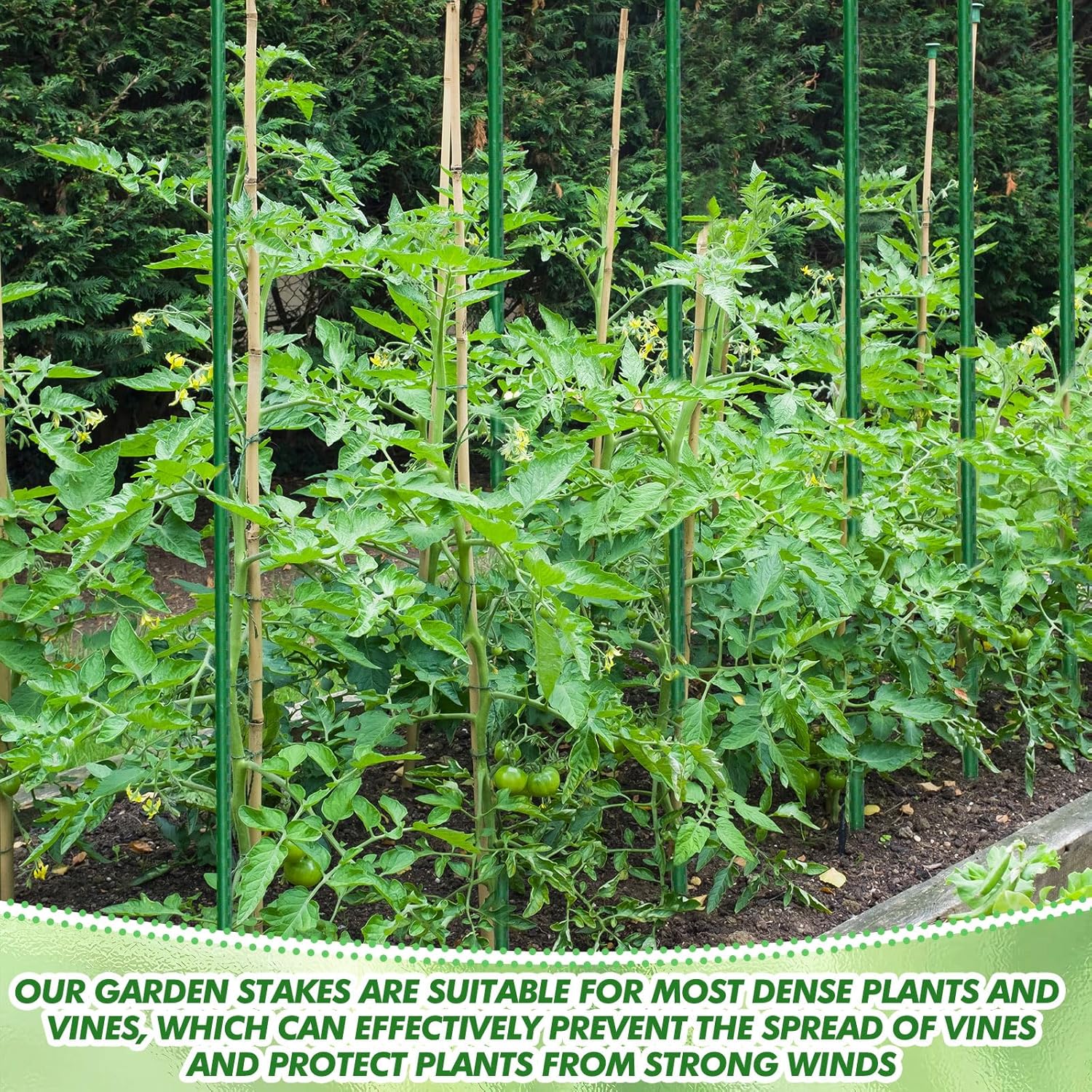 Garden Stakes Plant Stakes Tomato Stake Plant Support Garden Stick Bulk Fence Steel Stick Support for Growing Climbing Gardening Fences Poles(200 Pcs,11 mm X 4 ft)