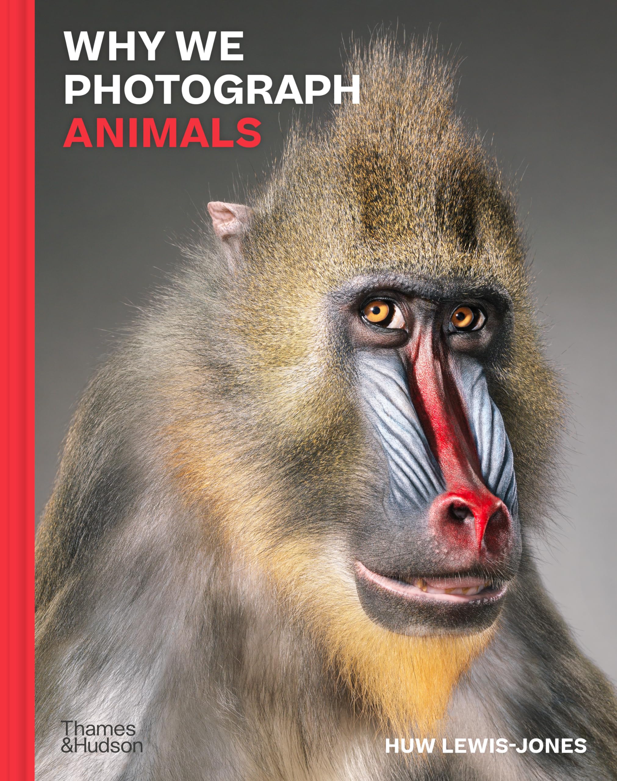 Why We Photograph Animals by Huw Lewis Jones HARDBACK 9780500022726