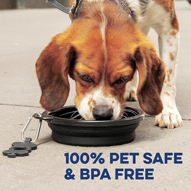 Foto 8 de 8 de Bonza Cuencos Plegables para Perros, Paquete de 2, pequeños Accesorios de Viaje para Perros