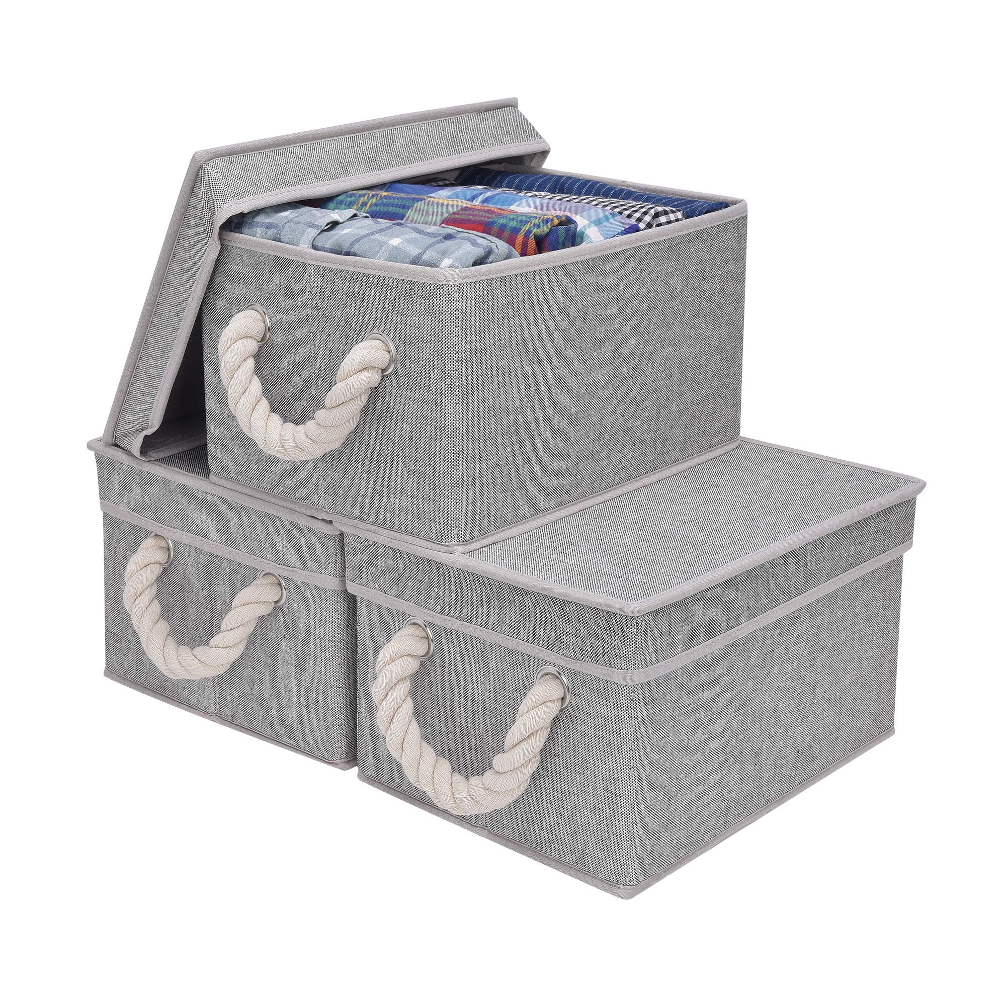 Buy StorageWorks Storage Boxes with Lids, Closet Organizers and Storage