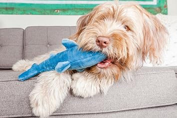 Tank The Shark Tuff Dog Toy