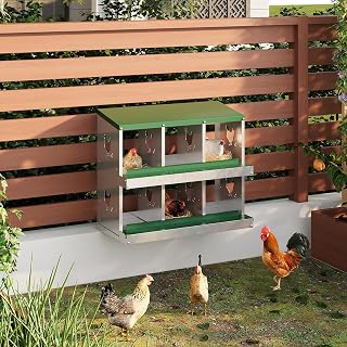 Chicken Nesting Box, 6 Holes Roll Away Nesting Box for Laying Eggs, Wall Mount Chicken Nesting Boxes with Roll Out Egg Collection with Vented Holes for Hens, Green
