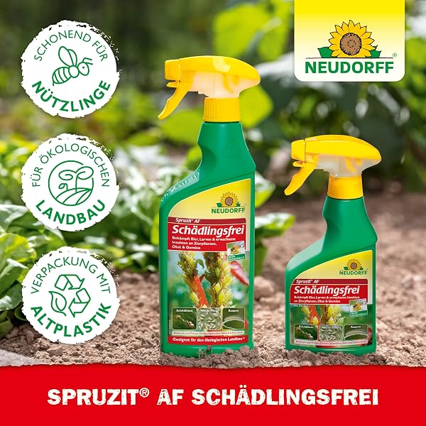 Neudorff Spruzit AF Schädlingsfrei – Bekämpft Schädlinge wie Buchsbaumzünsler, Blattläuse, Thripse an Zierpflanzen, Gemüse, Obst und Kräutern, 500 ml - 5