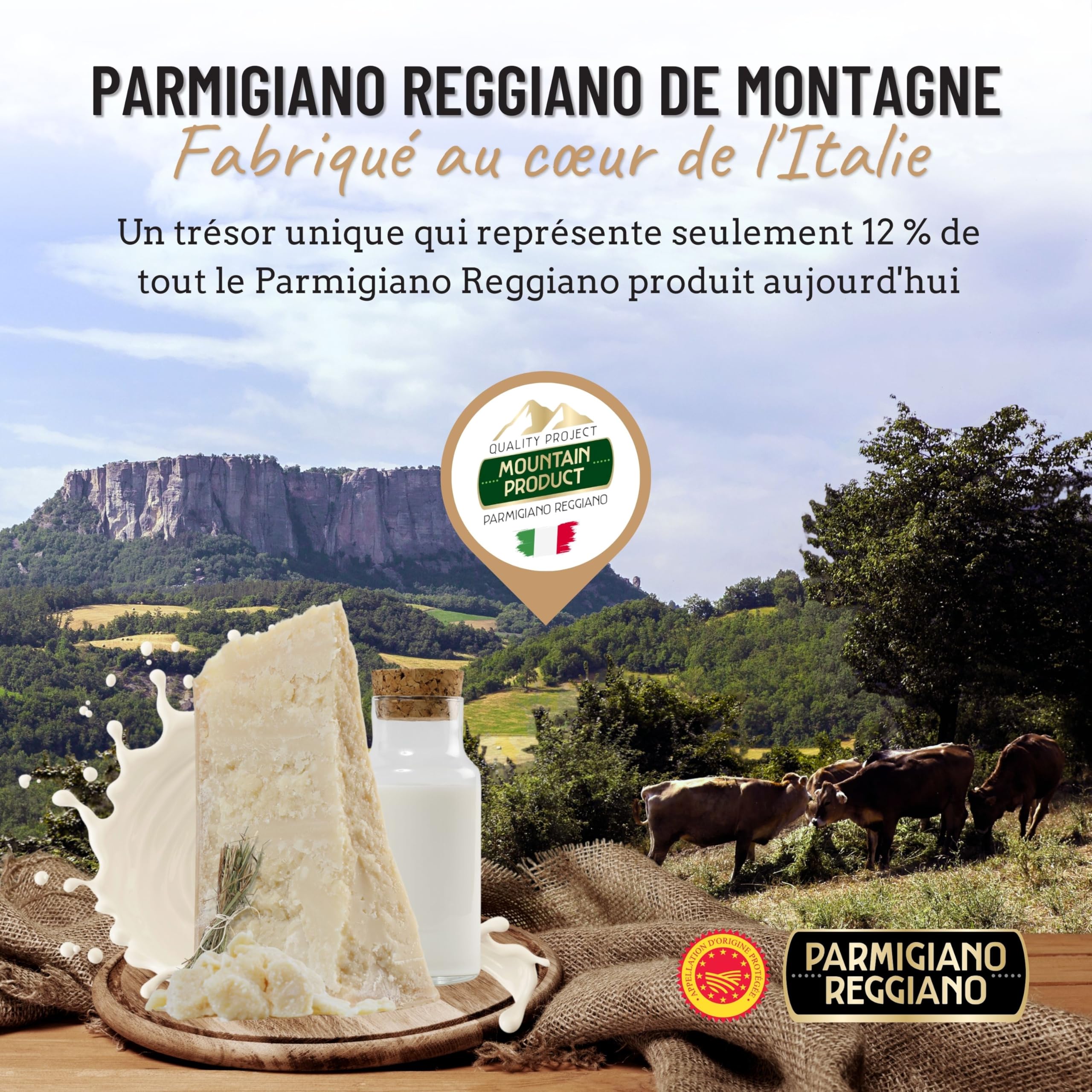 GUSTOEMILIA Montagne Parmigiano Reggiano Fromage 30 Mois Affiné - Idéal pour les Pâtes, le Pain, les Salades, les Collations et les Fruits - Fromage Parmesan Affiné Italien 1,1 lb (500g)