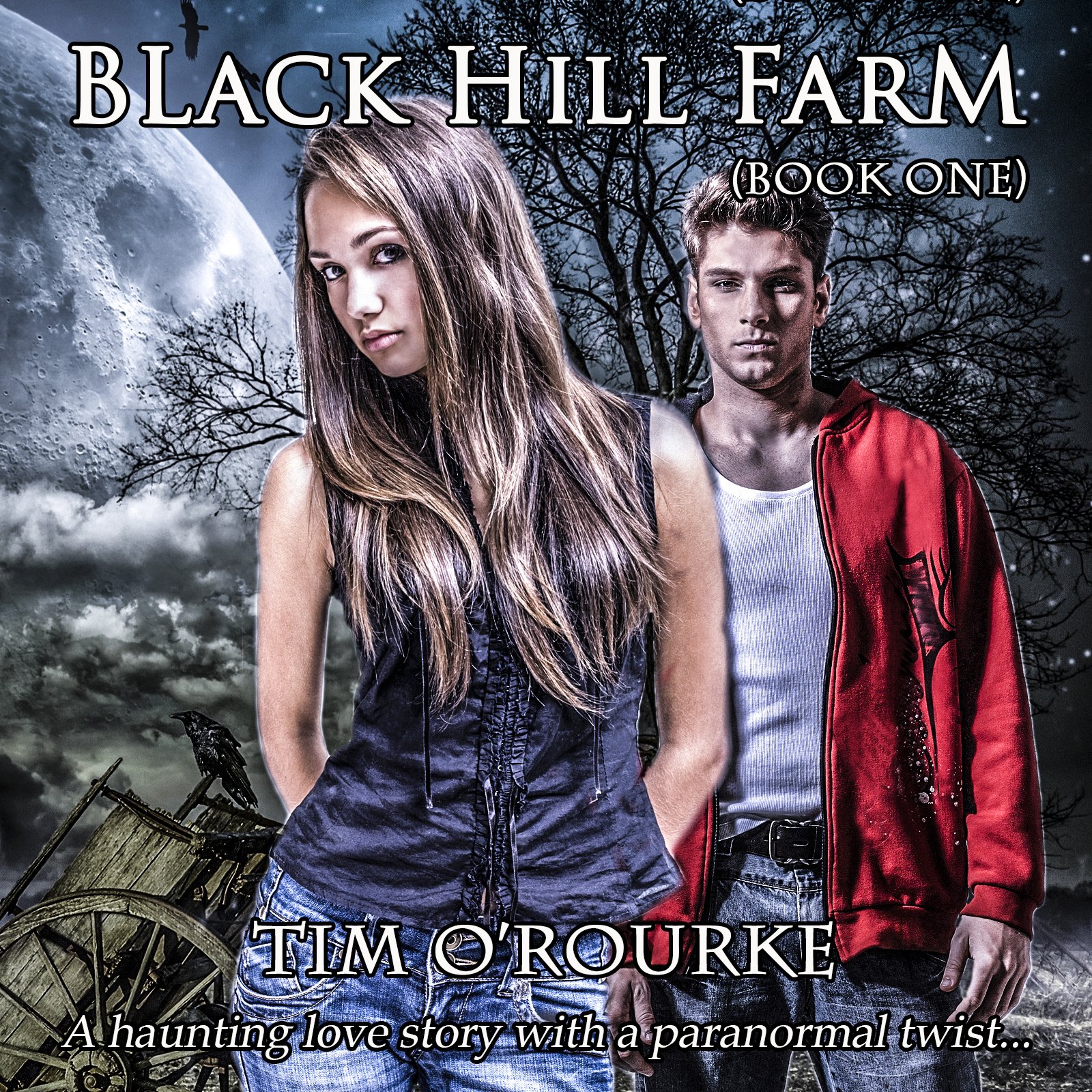 Cover art for Black Hill Farm, Book 1