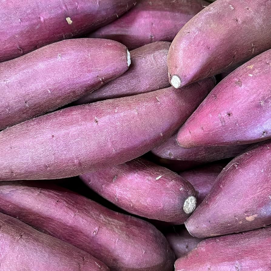 Amazon.co.jp: 【MSKSHOP】さつまいも シルクスイート 紅はるか 紅