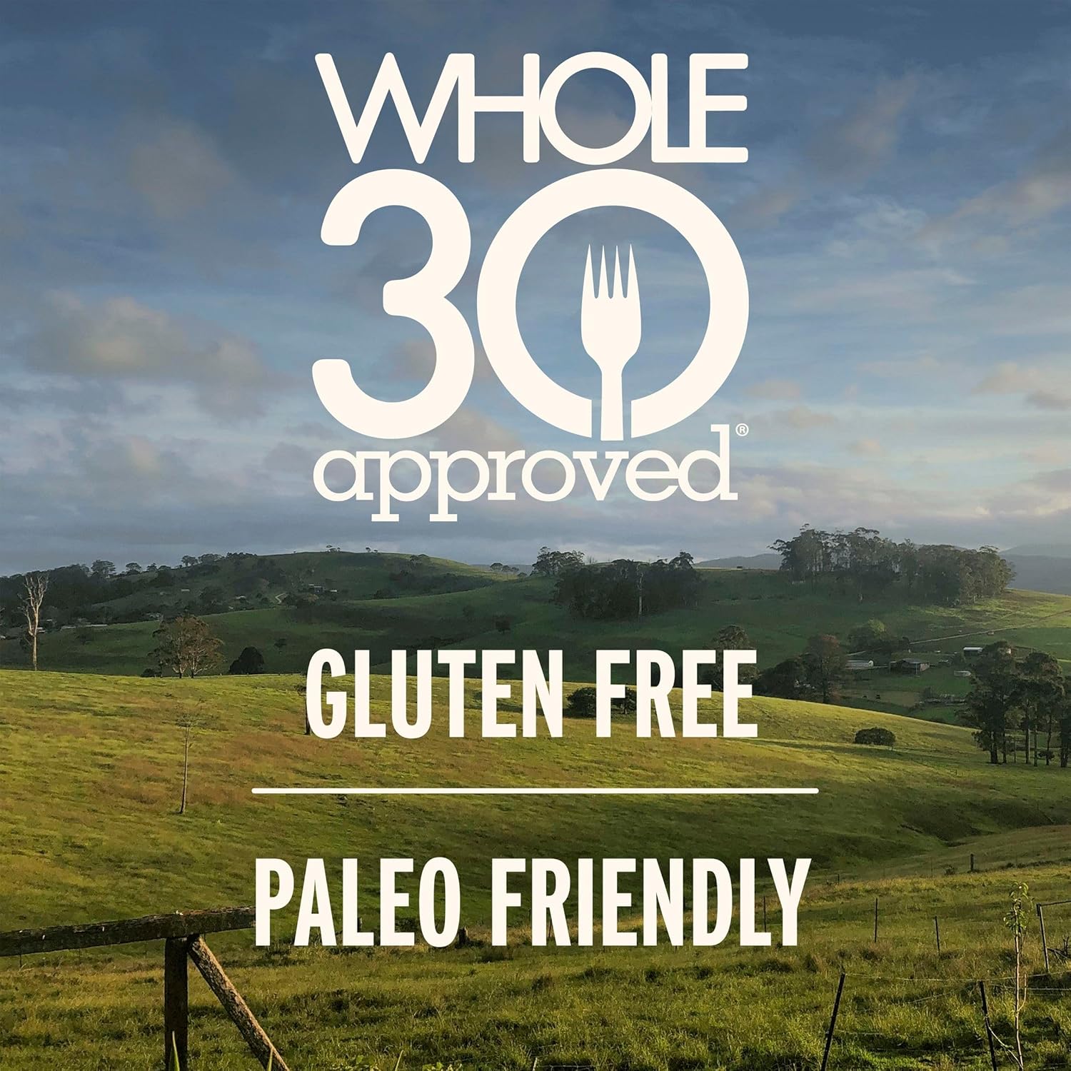EPIC Bison and Uncured Bacon Bites, Sweet and Savory, Whole30 Approved, Paleo Friendly, 8 Count, 20 oz
