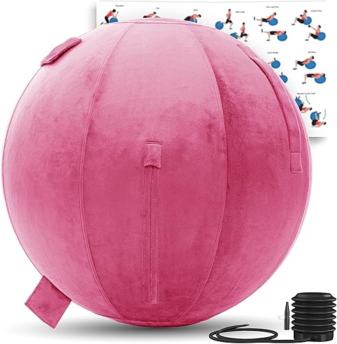Miniatura 10 de Husband Pillow Pelota de ejercicio, cubierta con bomba para yoga, pilates, estabilidad de equilibrio de fitness, asiento de silla de pelota de