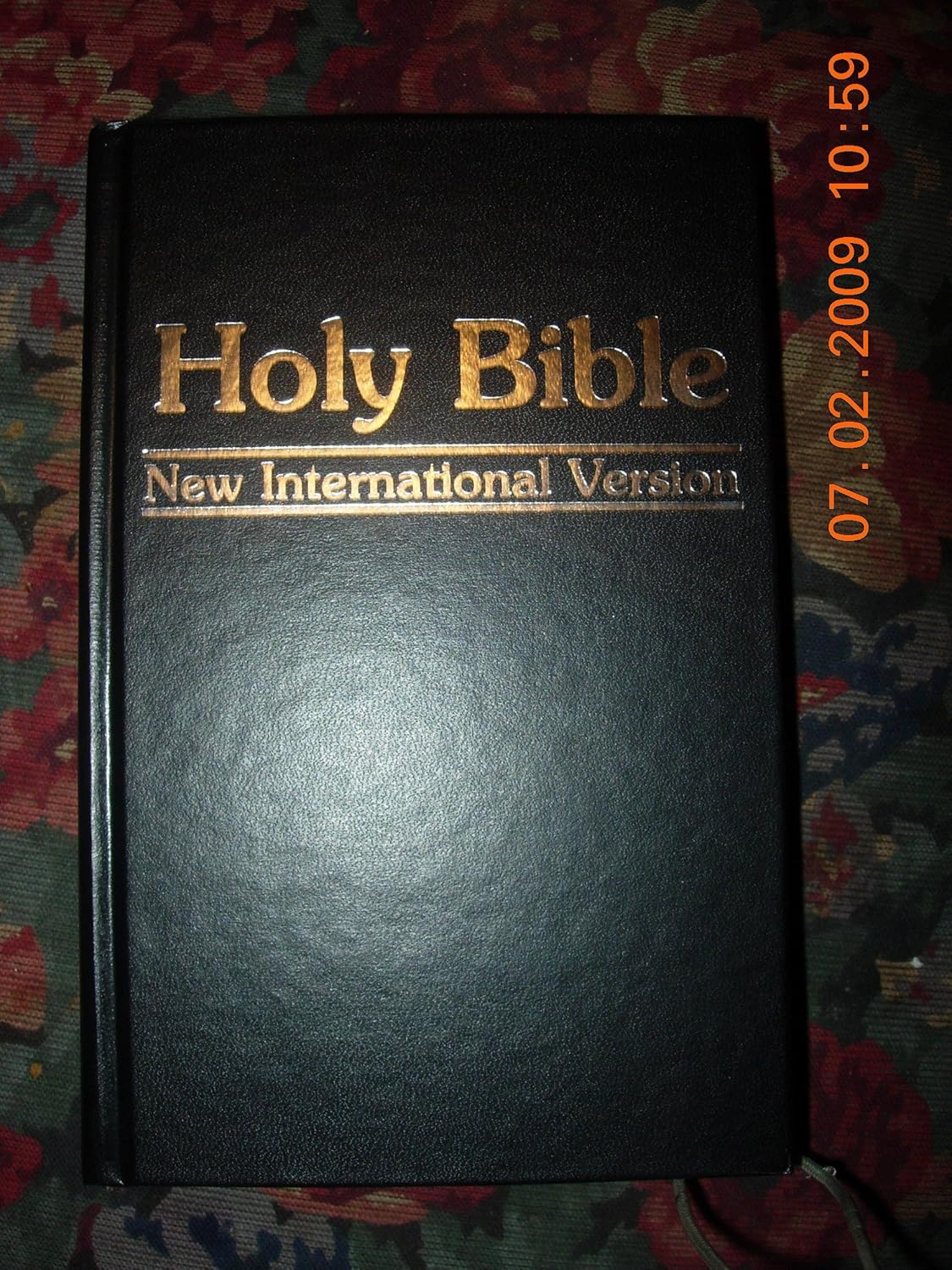 THE HOLY BIBLE /New International Version; AMERICAN BIBLE SOCIETY