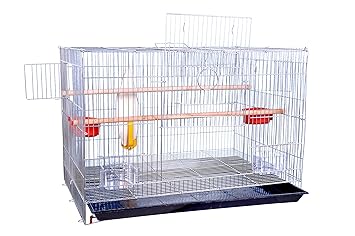 finches cage