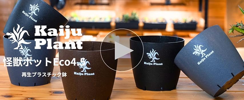 Amazon.co.jp: Kaiju Plant 怪獣ポットEco4.5 スリット鉢 4.5号