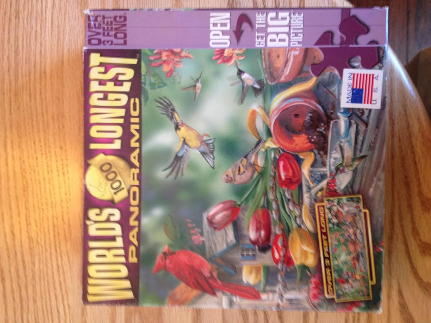 MasterPieces Garden Jamboree Jumbo Panoramic Jigsaw Puzzle, 1000-Piece