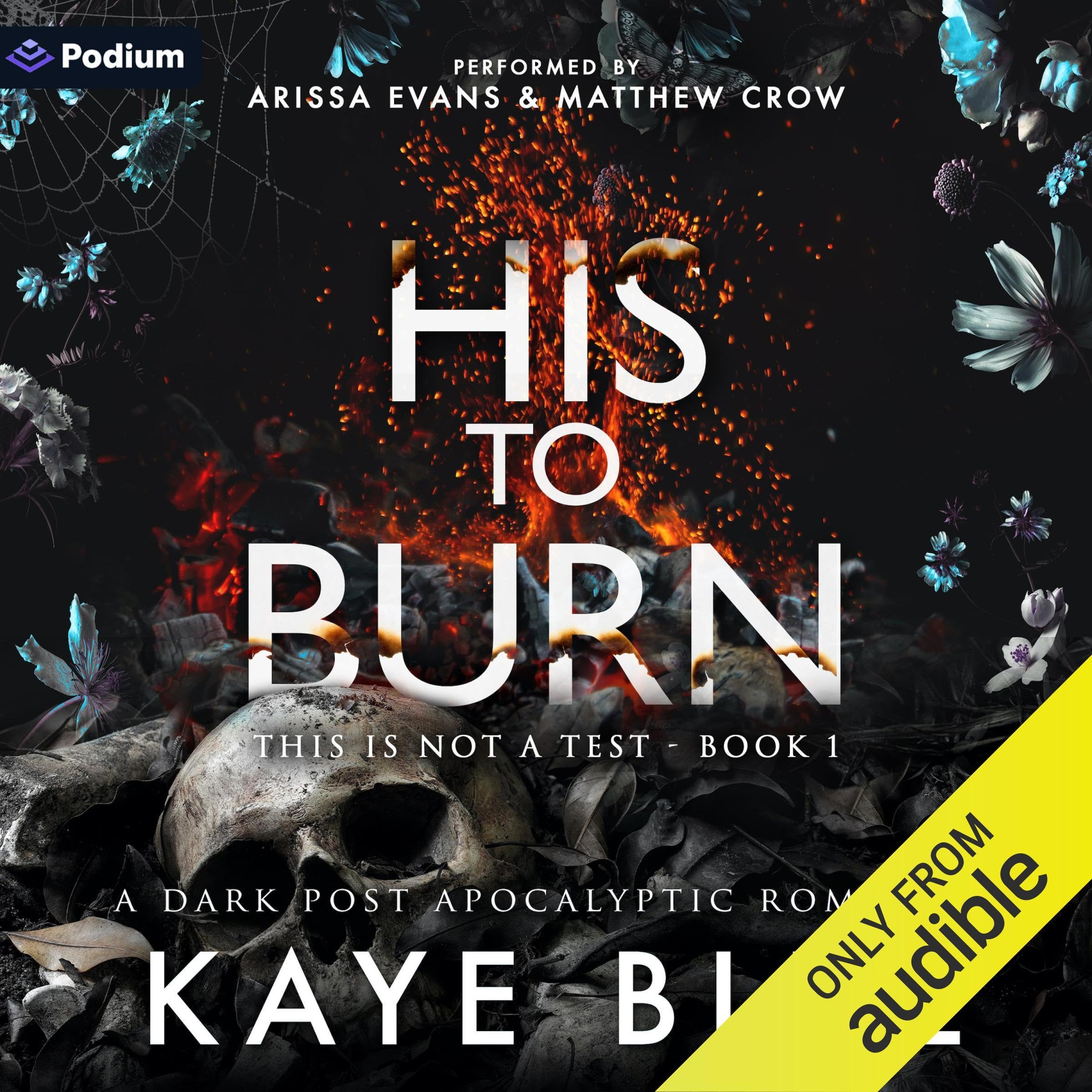 Cover art for His to Burn