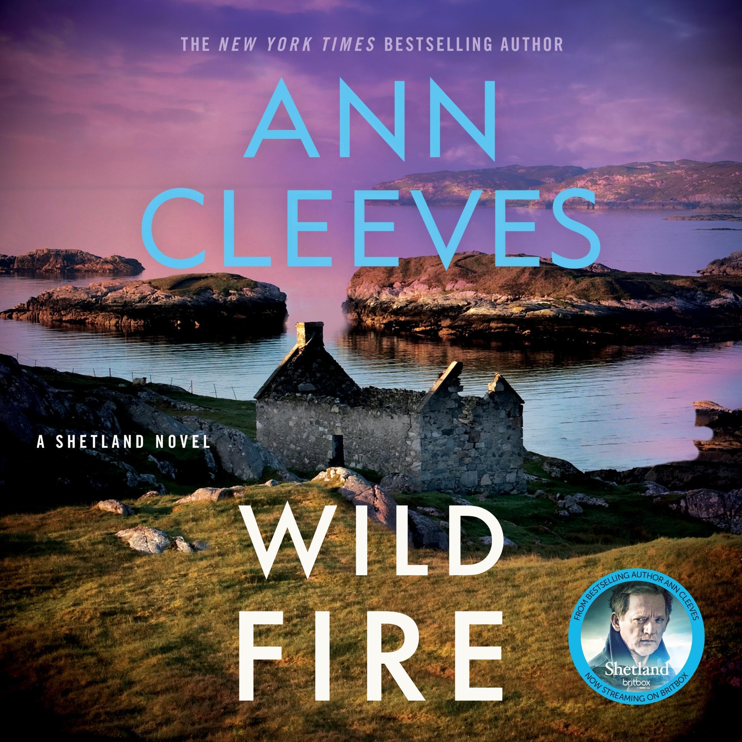 Cover art for Wild Fire: A Shetland Island Mystery