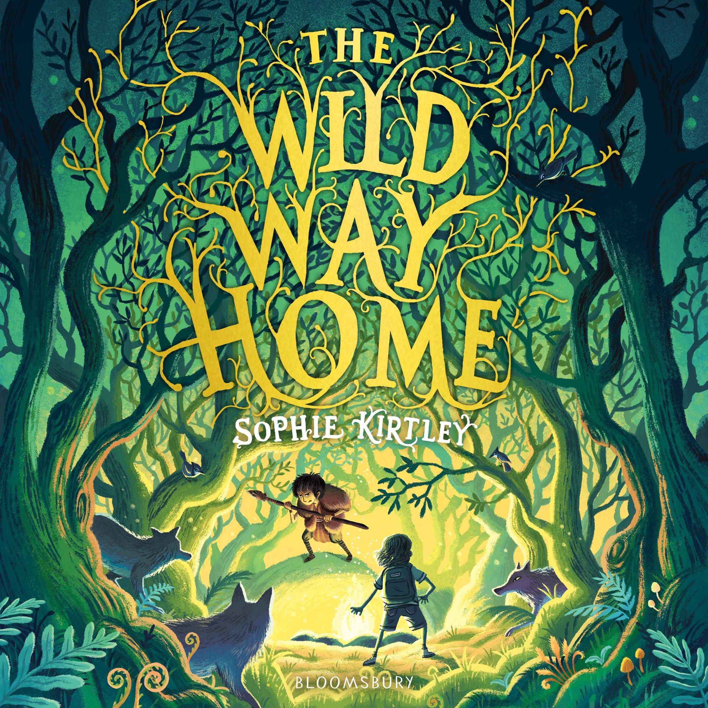 Cover art for The Wild Way Home
