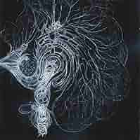 Amazon.co.jp: 【輸入盤】Soup: ミュージック