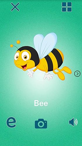 Learning animals sound / picture